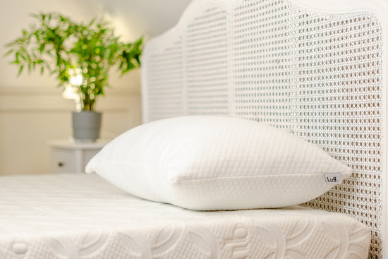 Luff - The Luxury Bamboo Pillow