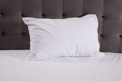 Terry Waterproof PU Pillow Protector TLC 5 Star Hotel Concept