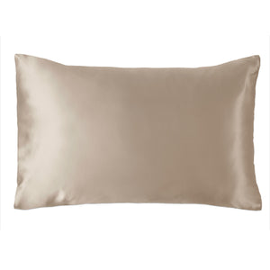 Beige/Natural Silk Pillowcase